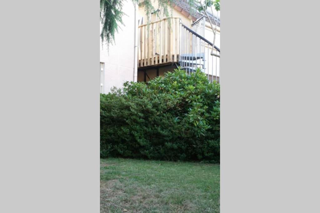 Apartament Studio Cosy Douillet Et Fonctionnel Savigny-le-Temple Zewnętrze zdjęcie